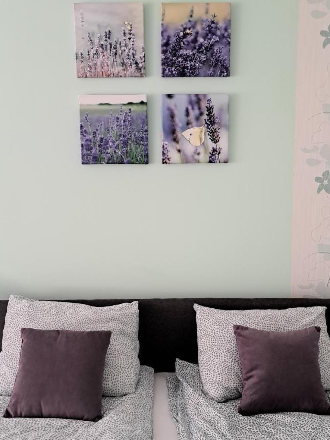 Soul Hotel Palić Eksteriør billede