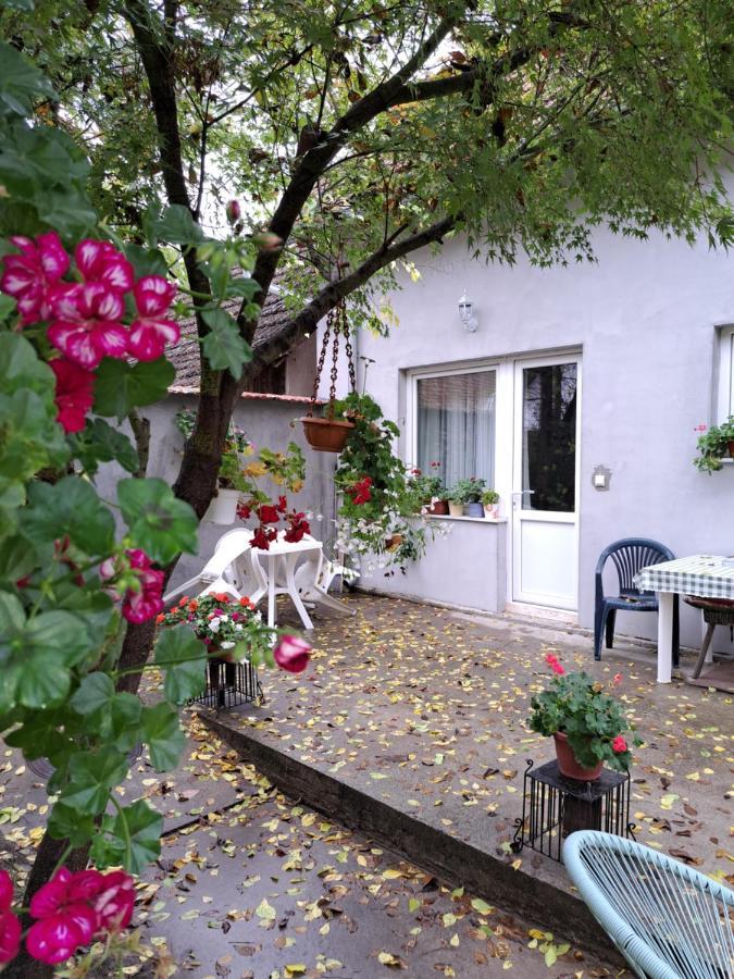 Soul Hotel Palić Eksteriør billede